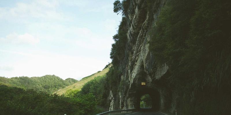 从临床营养到特医食品：伊利药业如何以专业健康服务重塑医院渠道与营养支持体系