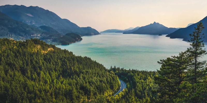 从健康咨询到药品销售：解码伊利药业基层医疗市场渠道下沉与赋能策略