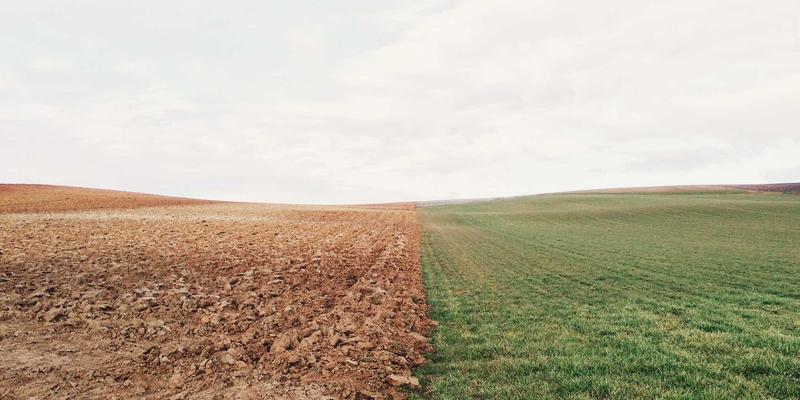 从在线购药到健康伙伴：伊利药业如何通过数字化营销重塑药品销售与慢病管理