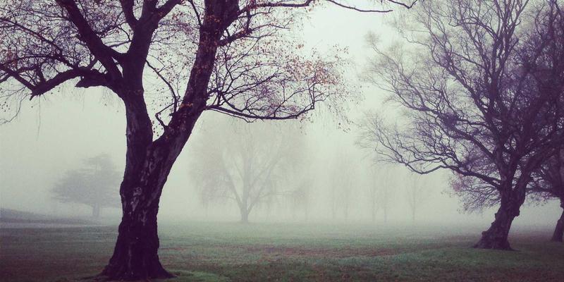 从家庭常备药到健康守护者：伊利药业的ESG实践如何重塑医药行业责任标杆