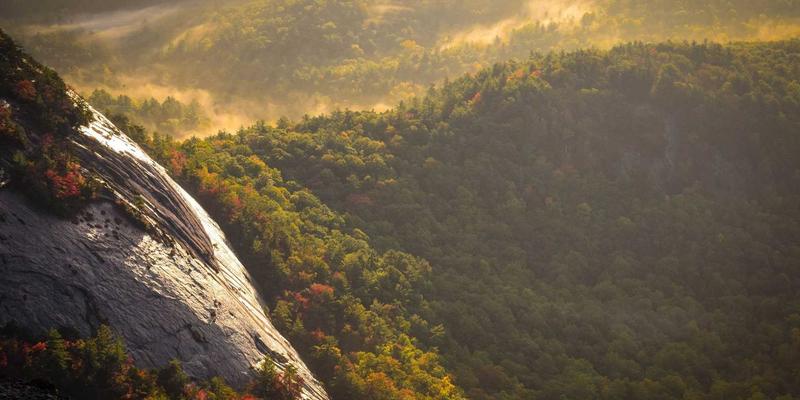 从家庭常备药到健康服务伙伴：解析伊利药业如何通过数字化营销构建专业品牌形象