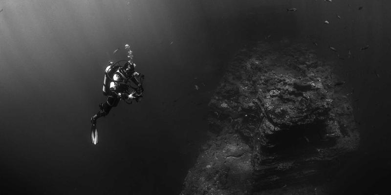 从药品销售到健康服务:解码伊利药业的98战略与全产业链布局