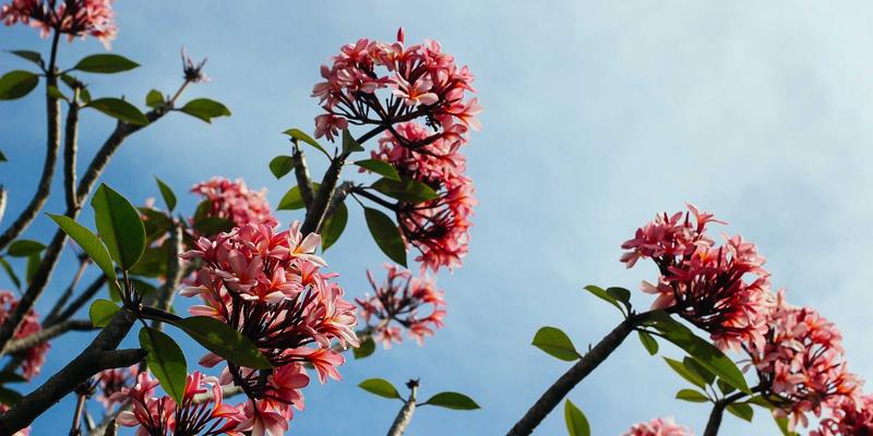 伊利药业18：从健康咨询到精准保健品，构建全方位健康服务新生态