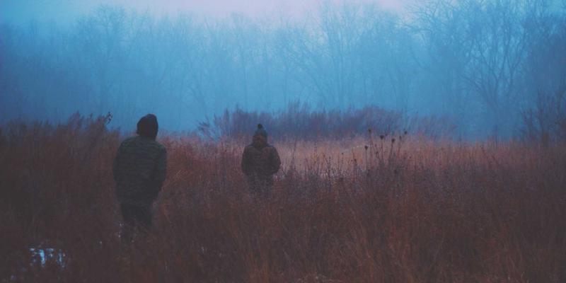 伊利药业89：药品销售与保健品新纪元，在线购药如何重塑健康消费