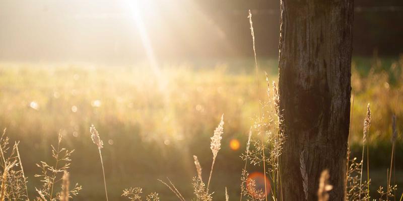 伊利药业:以专业药品销售与创新健康服务,引领在线购药新体验