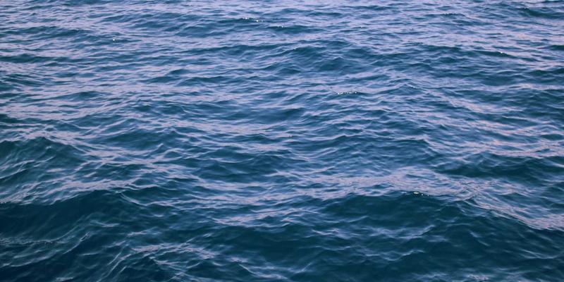 伊利药业：以人才培养与创新机制，引领健康咨询与药品销售新标杆