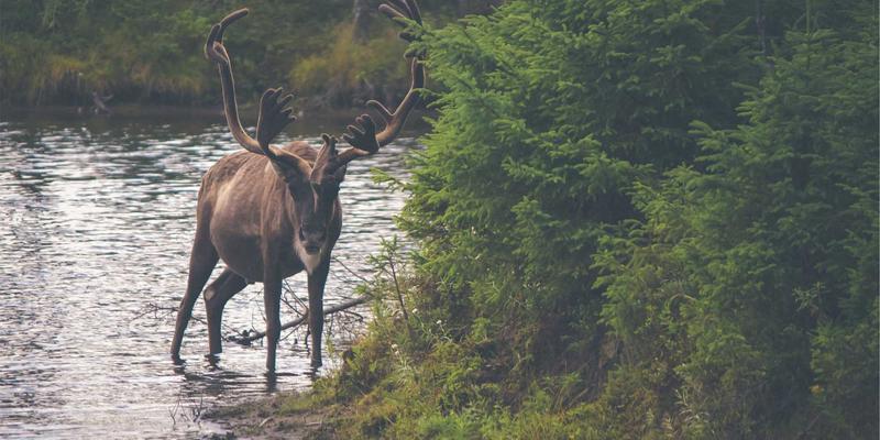 伊利药业健康服务新范式：专业药品销售与家庭常备药管理的融合实践
