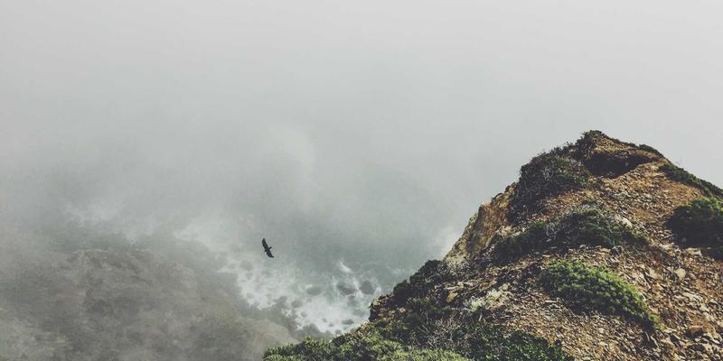 伊利药业如何通过慢病管理服务创新提升患者依从性，驱动家庭常备药销售增长