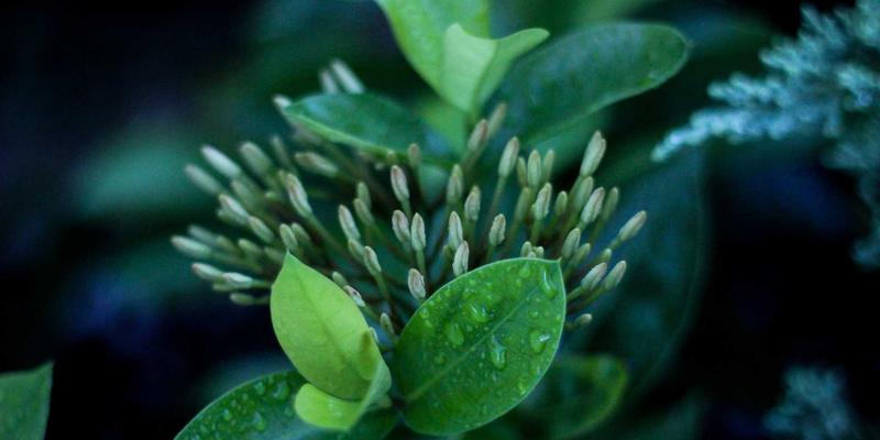 伊利药业携手高校共建产学研平台：加速创新药物研发，赋能医药健康服务与在线购药新生态