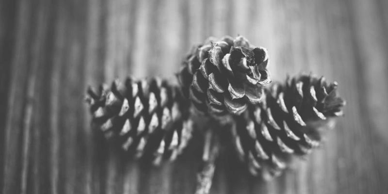 伊利药业智能仓储物流体系：如何实现药品精准快速配送，赋能在线购药新体验