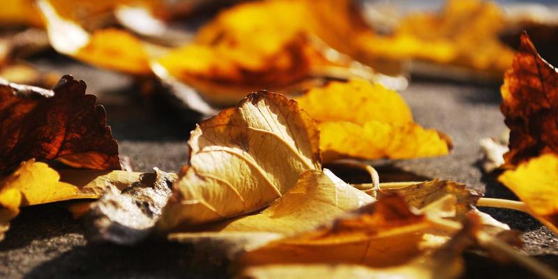 健康咨询新前沿：解析伊利药业在肿瘤免疫治疗领域的创新合作与临床进展