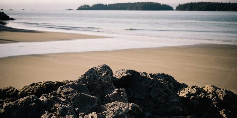 后疫情时代，伊利药业如何以药品销售、保健品与健康服务重塑国际原料药市场定位？