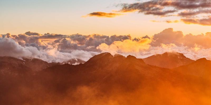 家庭常备药新选择：伊利药业如何用现代科技重塑传统中药