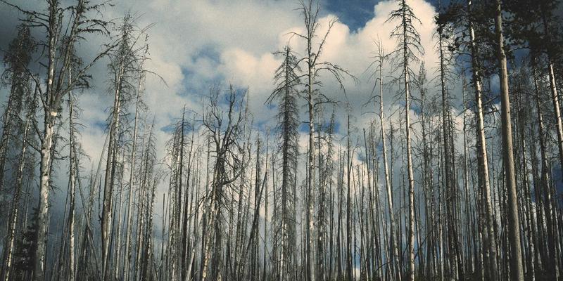 生物类似药赛道角逐：伊利药业研发进展与在线购药市场新机遇